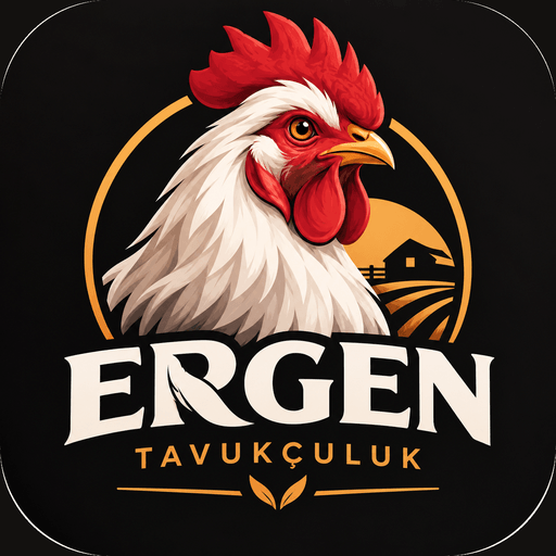 Ergen Tavukçuluk